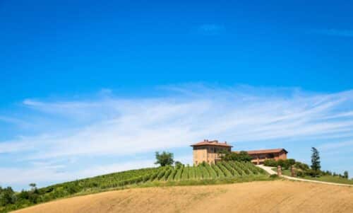 monferrato vigneti case